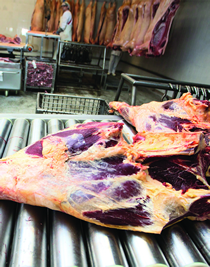 Yorkshire Premier Meat meat preparation